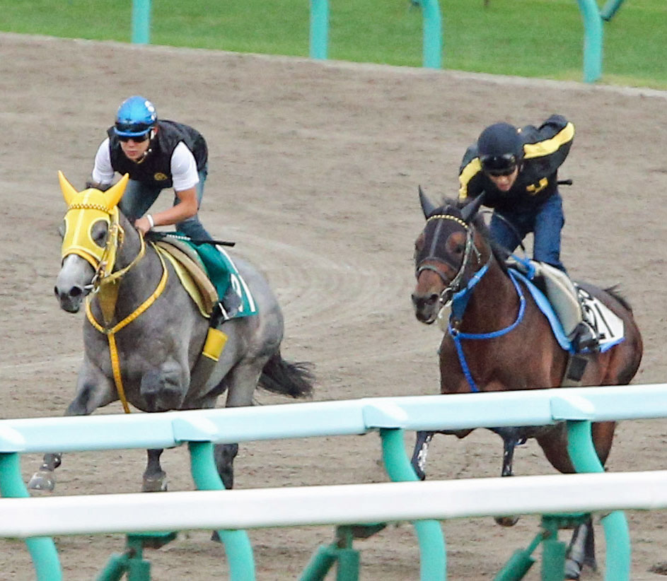 アラバスター（左）は札幌ダートコースでローハイドと併せて追い切る（撮影・村野早祐）