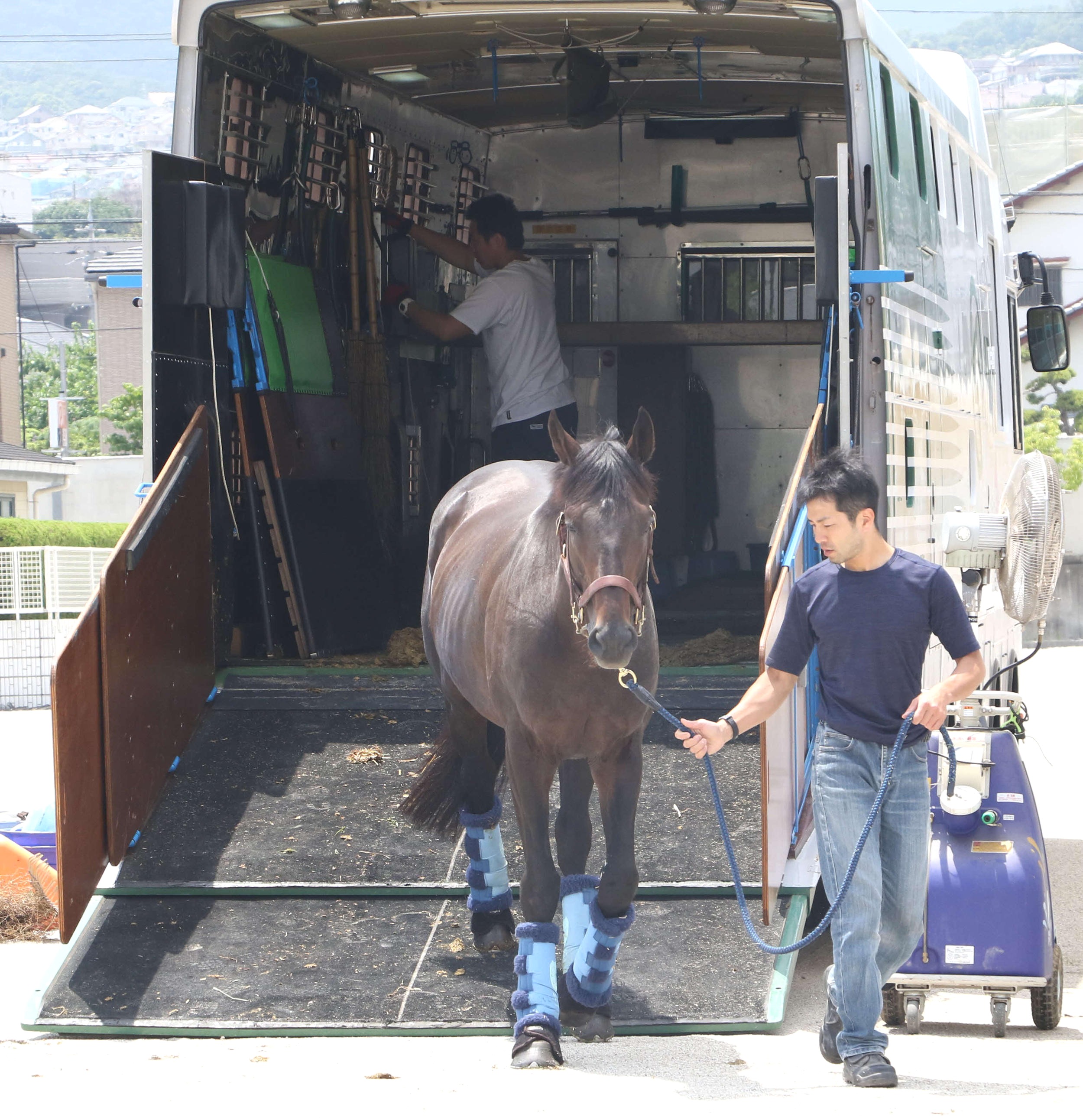 阪神競馬場に到着、堂々と馬運車を下りる昨年覇者サトノクラウン
