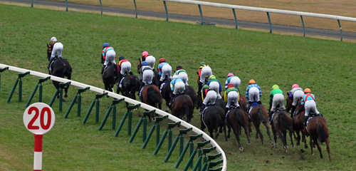 東京競馬１１Ｒ　１・２コーナー、キタサンブラック（左端）が主導権をとる（撮影・酒井清司）
