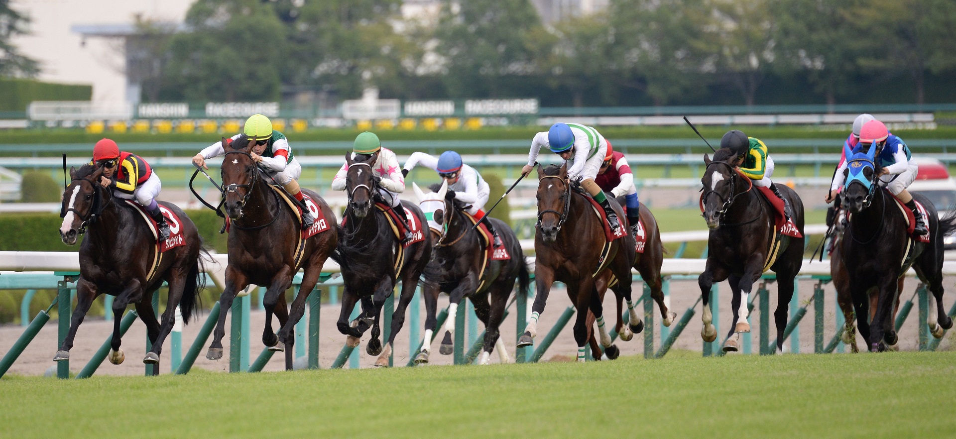 神戸新聞杯　直線抜け出したレイデオロ（左から２頭目）はダービー馬の貫禄で他馬を振り切る　（撮影・渦原淳）＝２０１７年９月24日、阪神競馬場