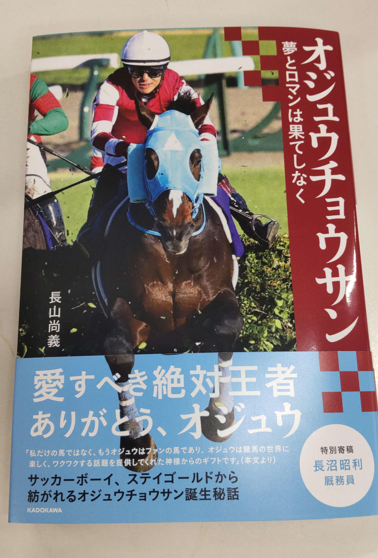 入手困難】 スポーツ新聞完品 日刊スポーツ タイキシャトル