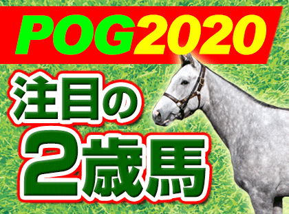pog2020 注目の2歳馬