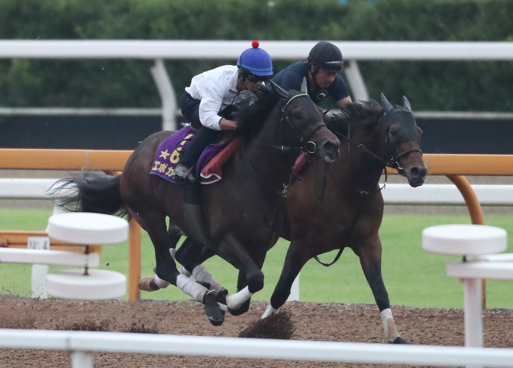 戸崎圭太騎手を背にCWで併せ馬で追い切りするエポカドーロ（左）、右はステファノス（撮影・白石智彦）