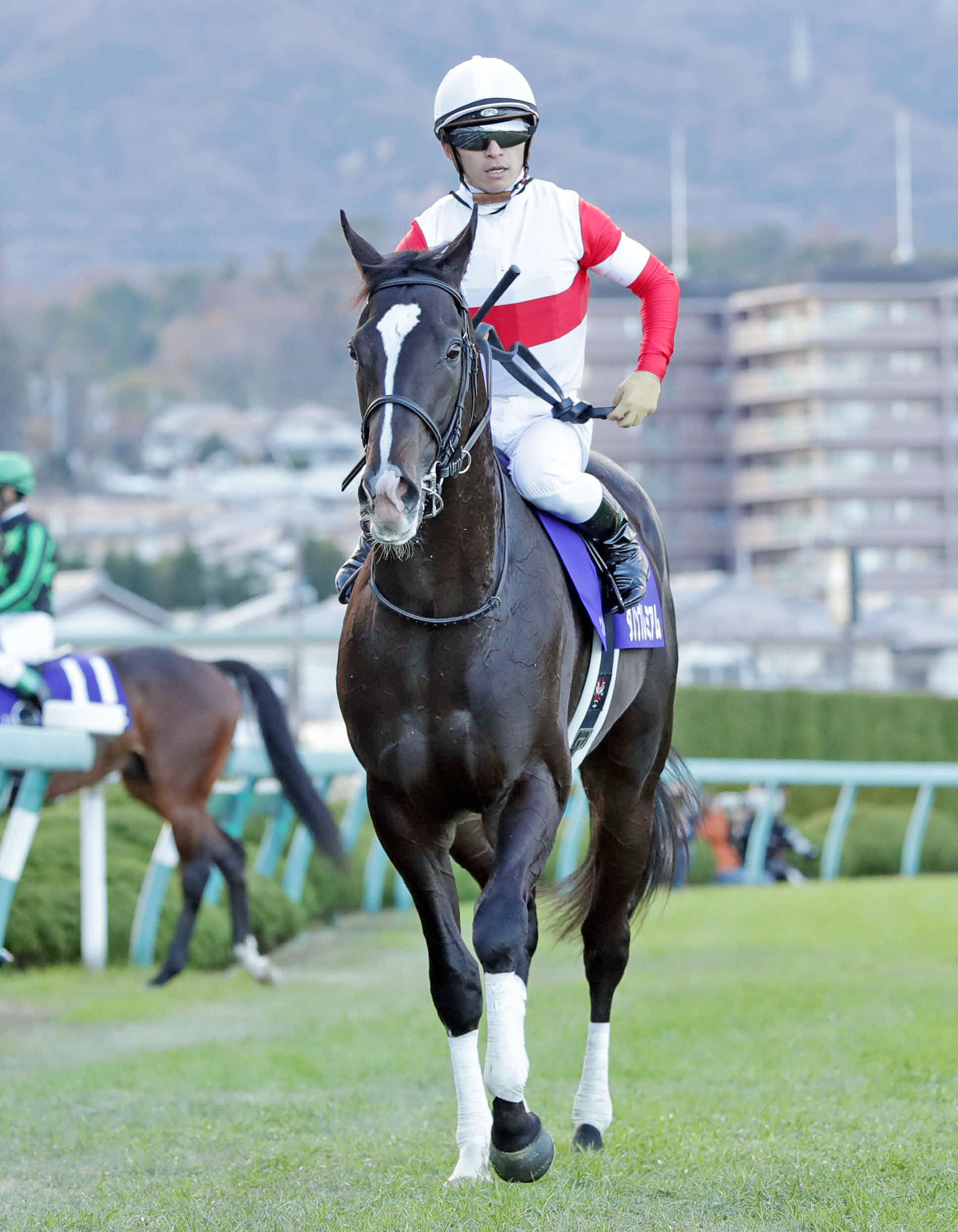 日本馬はダノンプレミアムとステルヴィオが14位タイ 極ウマ プレミアム