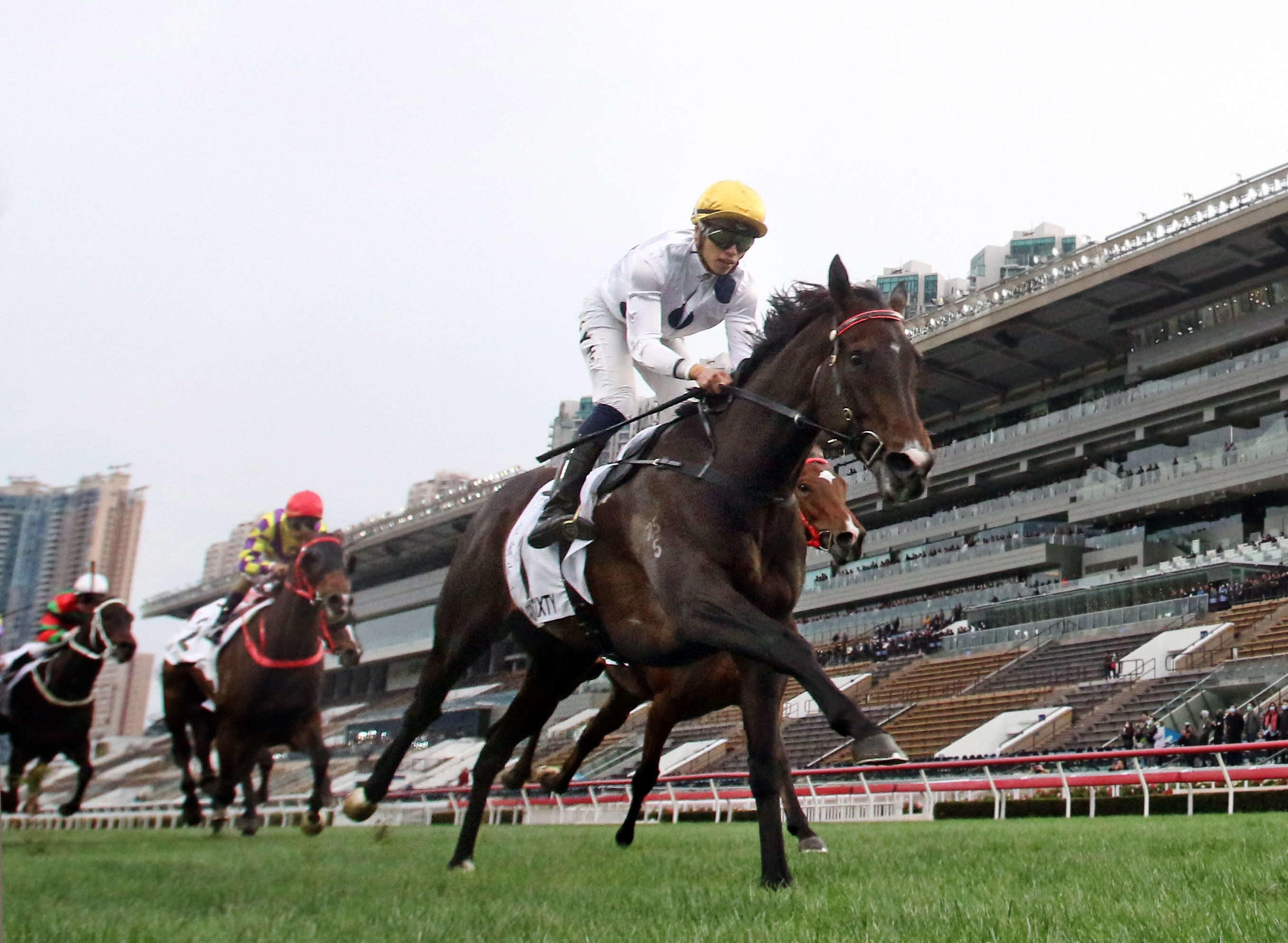 無観客開催の香港競馬で３冠馬誕生なるか／コラム