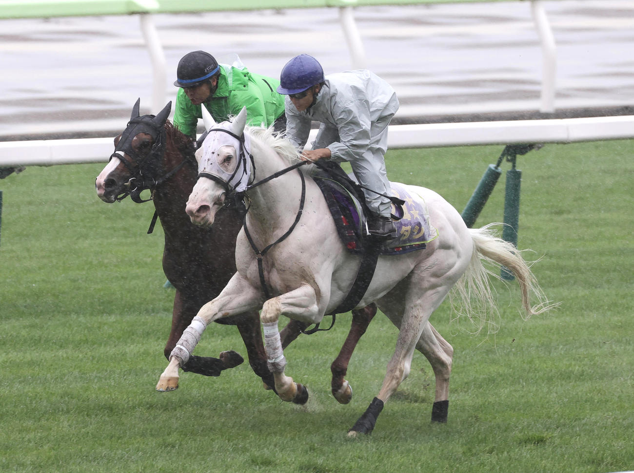 函館芝コースで、併せ馬で追い切るソダシ（右）