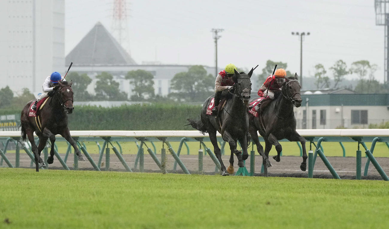 神戸新聞杯で2着だったレッドジェネシス（右）。中央は勝ったステラヴェローチェ（9月26日撮影）
