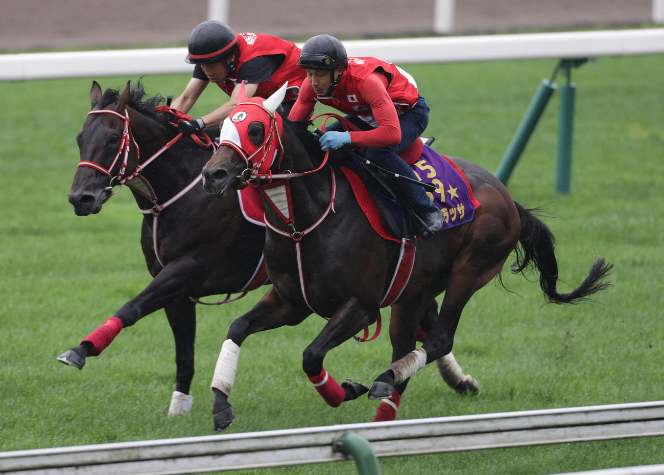 札幌記念出走予定のパンサラッサ（右）は、函館芝コースで併せ馬で追い切られる