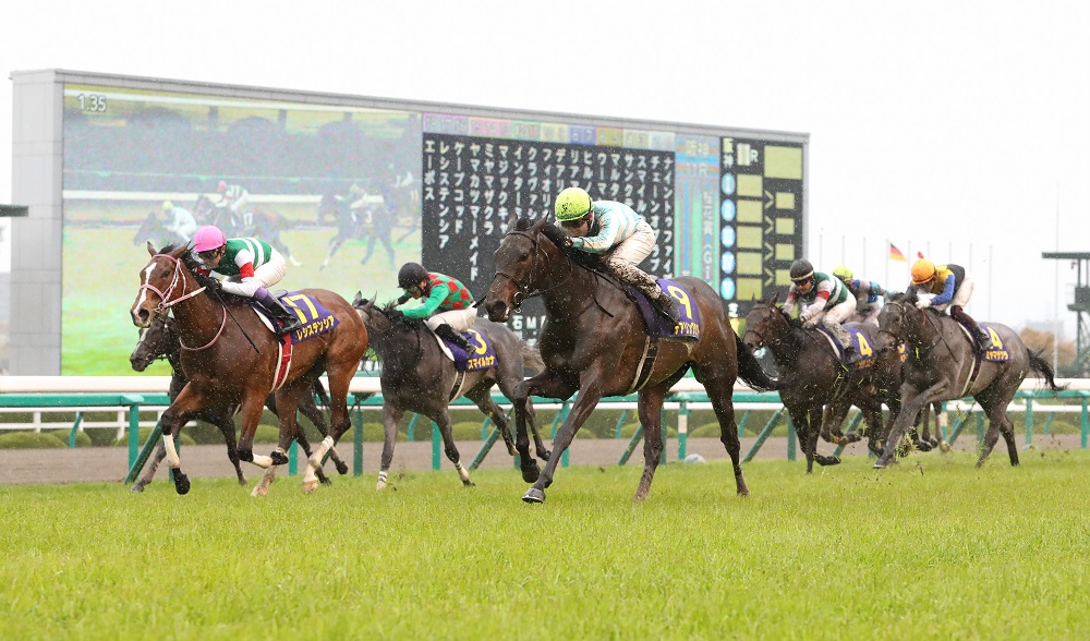 桜花賞で５着と健闘したミヤマザクラ（右端）。中央は勝ったデアリングタクト