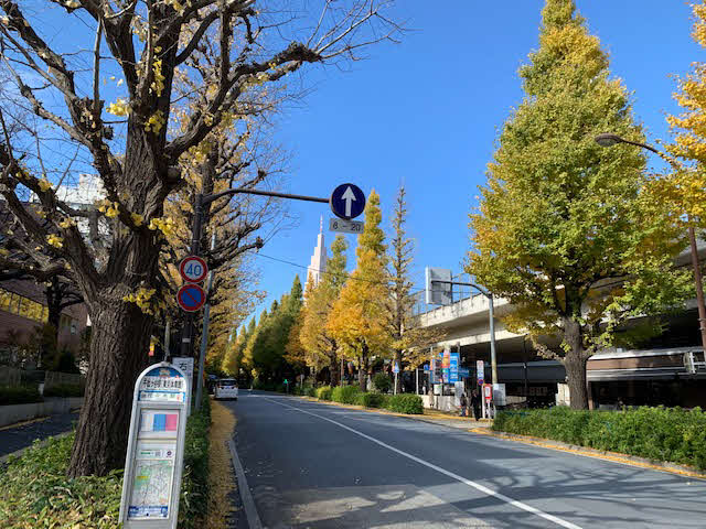 これが裏参道。JR千駄ヶ谷駅から代々木にのびる道です
