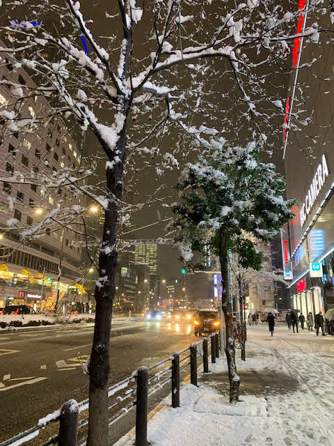 東京は6日に雪が降りましたが、すぐに暖かくなっています。

