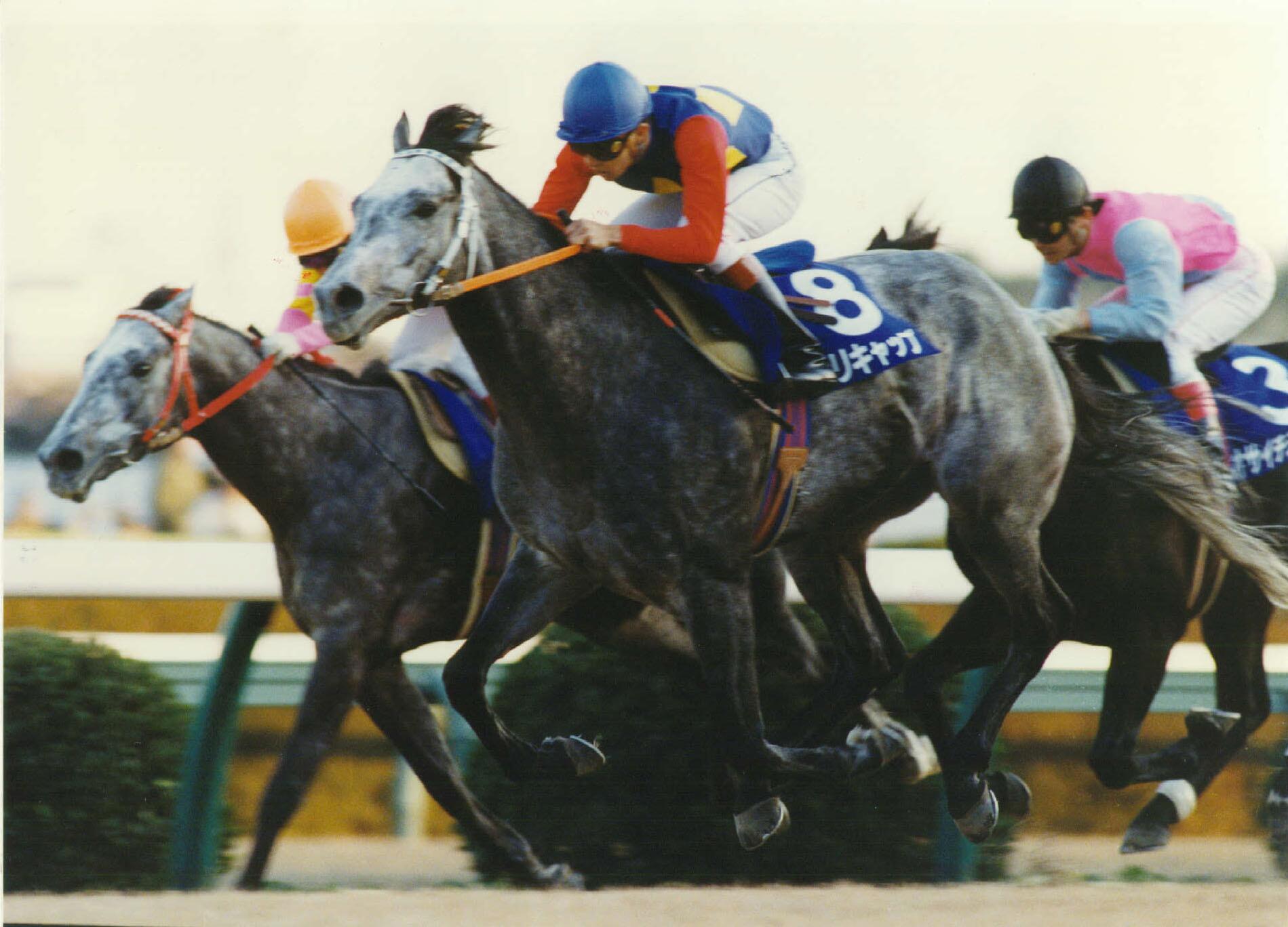 90年、オグリキャップで有馬記念を制した武豊騎手