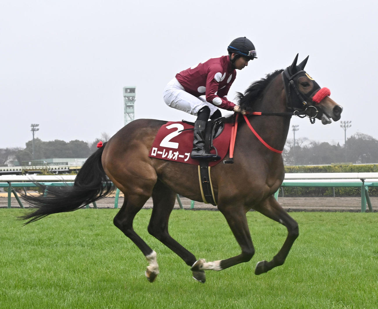 日刊スポーツ競馬ページ　2023年1〜8月　46枚 日刊スポーツ競馬ページ 2023年1〜8月 46枚