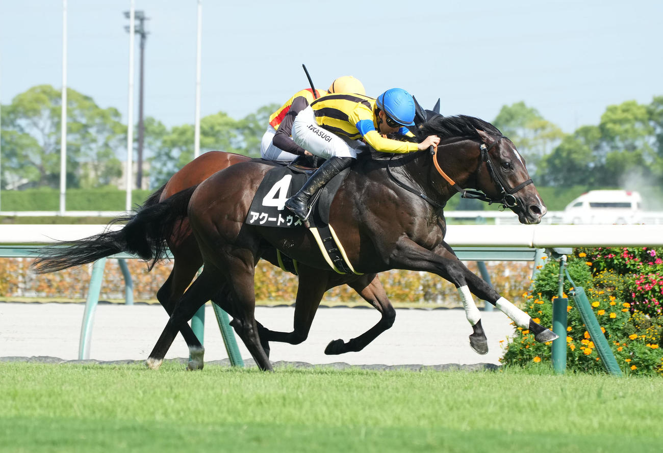 日刊スポーツ競馬ページ　2023年1〜8月　46枚 日刊スポーツ競馬ページ 2023年1〜8月 46枚 美術品