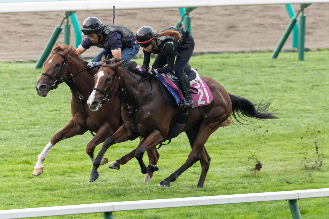 日刊スポーツ競馬ページ　2023年1〜8月　46枚 日刊スポーツ競馬ページ 2023年1〜8月 46枚