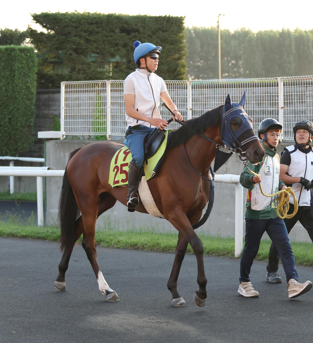 ニュース一覧 - au版 日刊スポーツ競馬