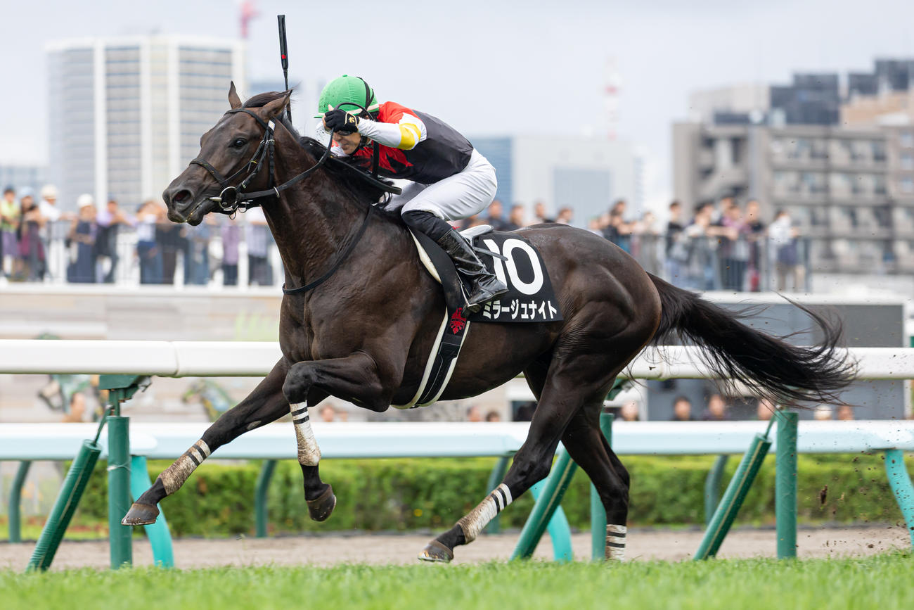 日刊スポーツ競馬ページ　2023年1〜8月　46枚 ニュース一覧 - au版 日刊スポーツ競馬