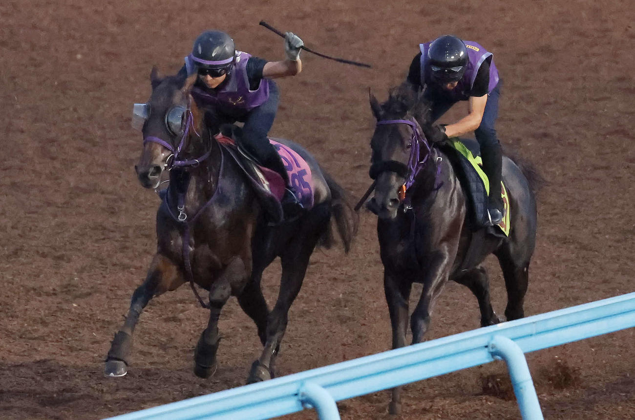 日刊スポーツ競馬ページ　2023年1〜8月　46枚 ニュース一覧 - au版 日刊スポーツ競馬