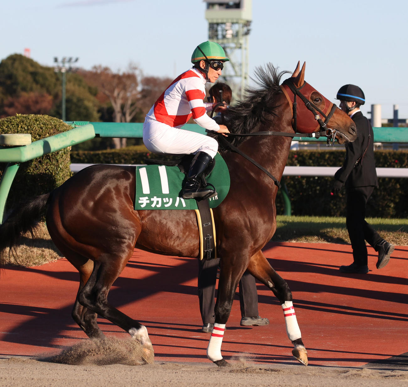 ニュース一覧 - au版 日刊スポーツ競馬