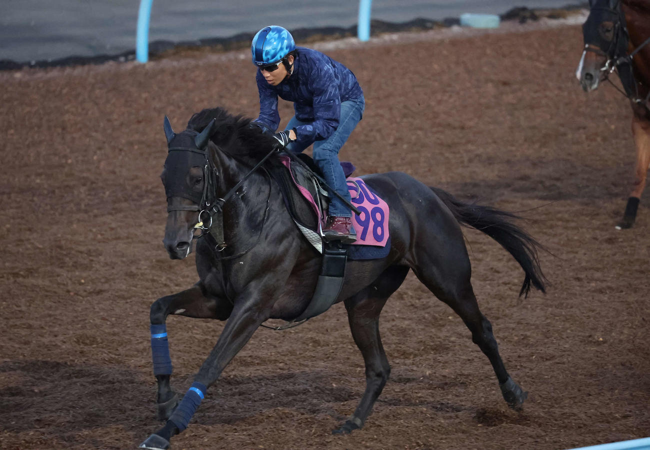 日刊スポーツ競馬ページ　2023年1〜8月　46枚 日刊スポーツ競馬ページ 2023年1〜8月 46枚 日刊スポーツ競馬