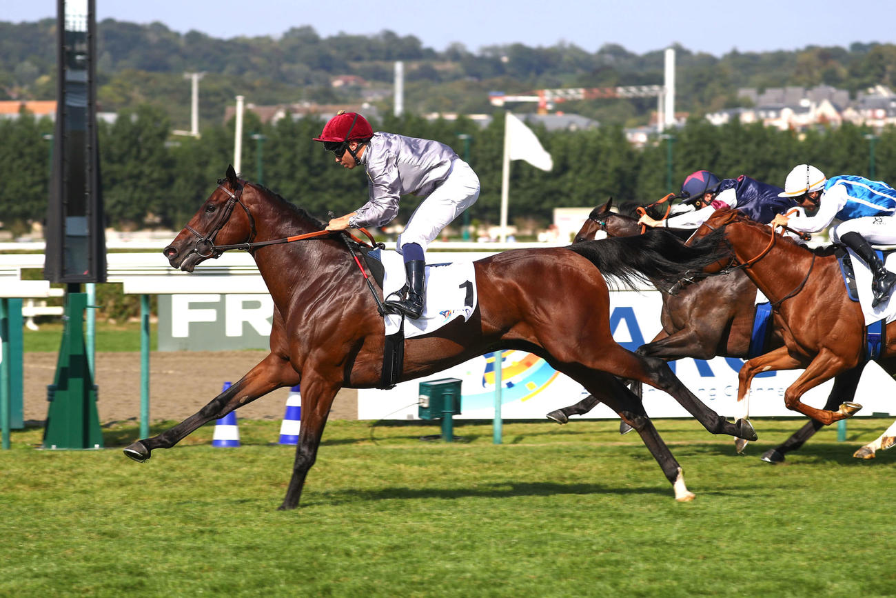 ニュース一覧 - au版 日刊スポーツ競馬