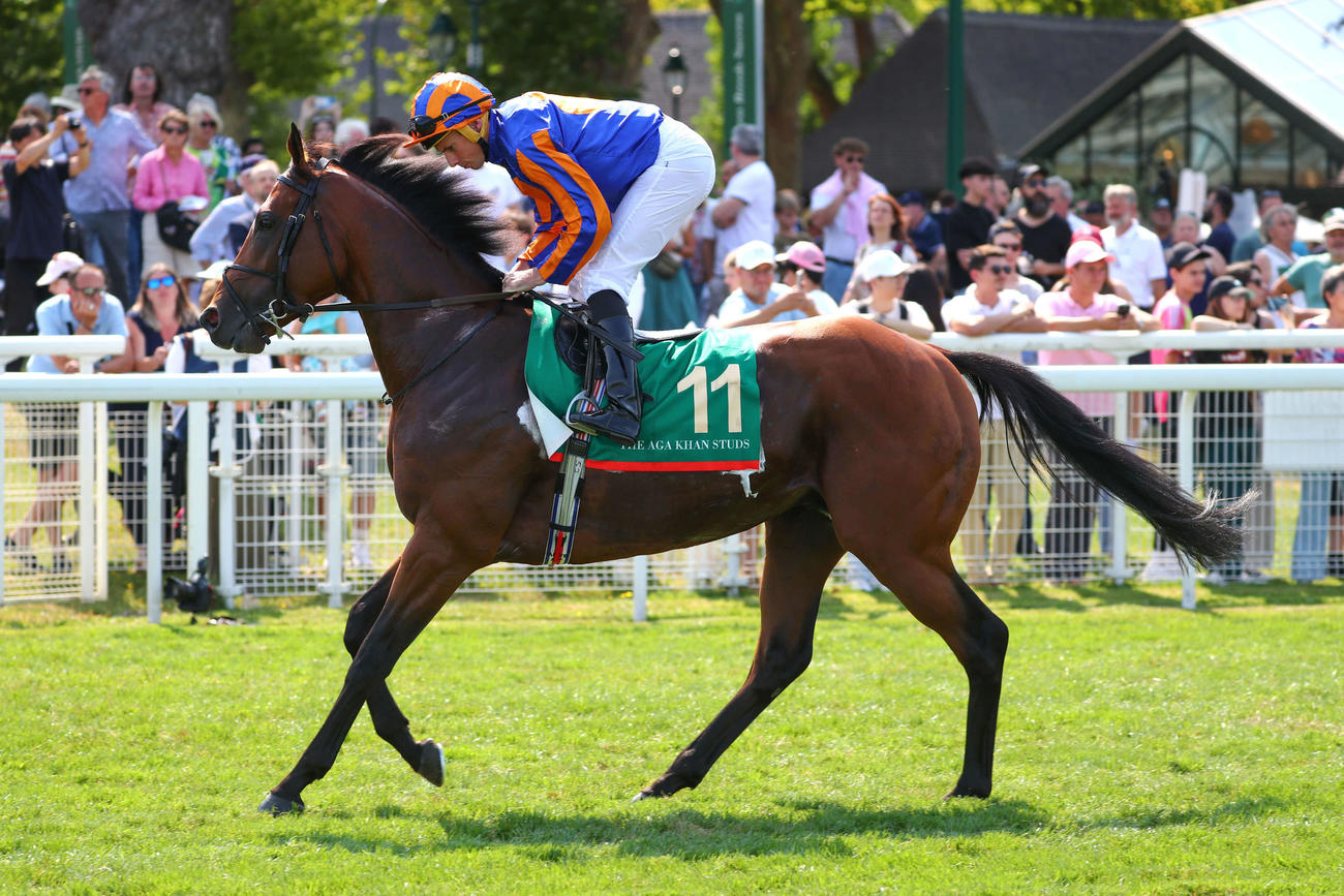 ニュース一覧 - au版 日刊スポーツ競馬