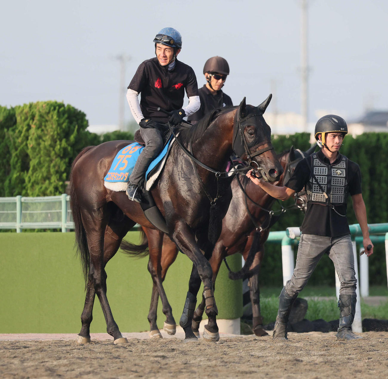 ニュース一覧 - au版 日刊スポーツ競馬